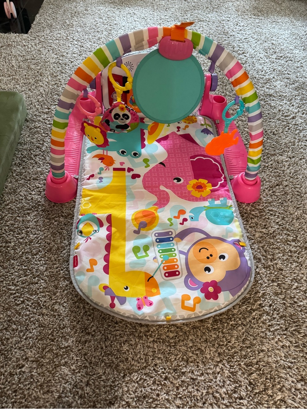Fisher-Price Rainbow Striped Baby Play Gym with Pink Accents